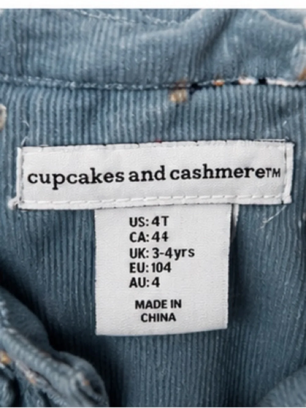 cupcakes & cashmere Blue Floral Corduroy Girls Dress